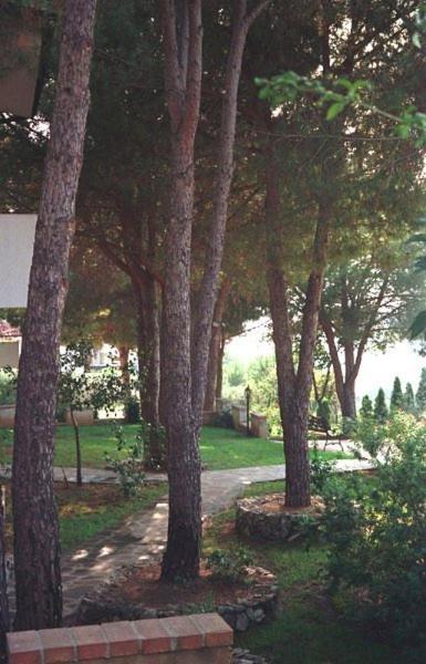 Villaggio Pineta Petto Bianco Capo Vaticano Εξωτερικό φωτογραφία