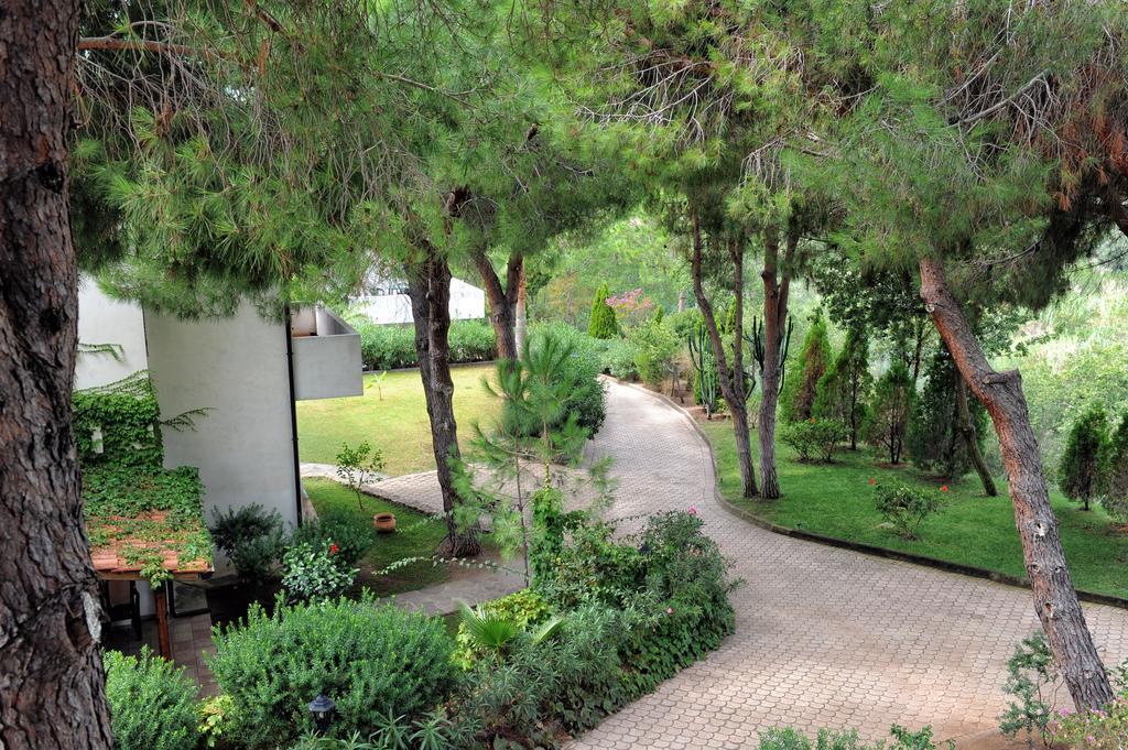 Villaggio Pineta Petto Bianco Capo Vaticano Εξωτερικό φωτογραφία